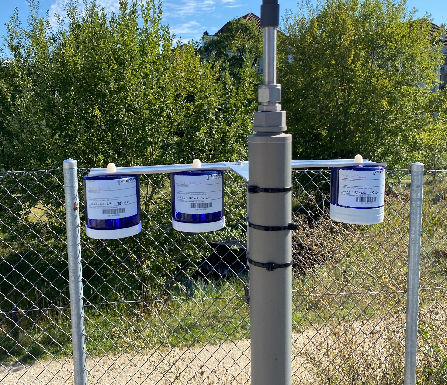 Three blue cup-like MerPAS samples installed on a small beam